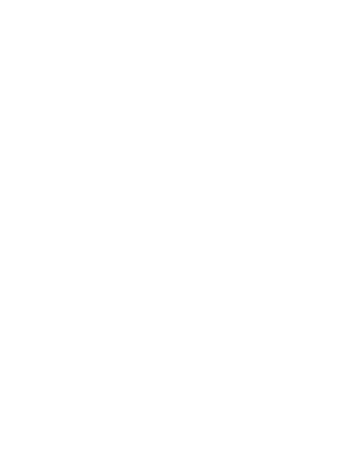 Watermark